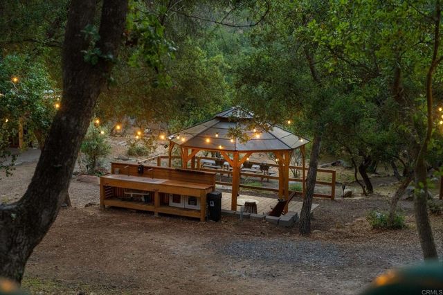 a view of a park with large trees