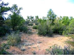 4340 Fort Bridger Road Prescott, AZ 86305 - Photo 4 of 10 Additional Photo