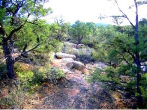 4340 Fort Bridger Road Prescott, AZ 86305 - Photo 7 of 10 Additional Photo