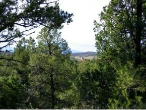 4340 Fort Bridger Road Prescott, AZ 86305 - Photo 8 of 10 Additional Photo