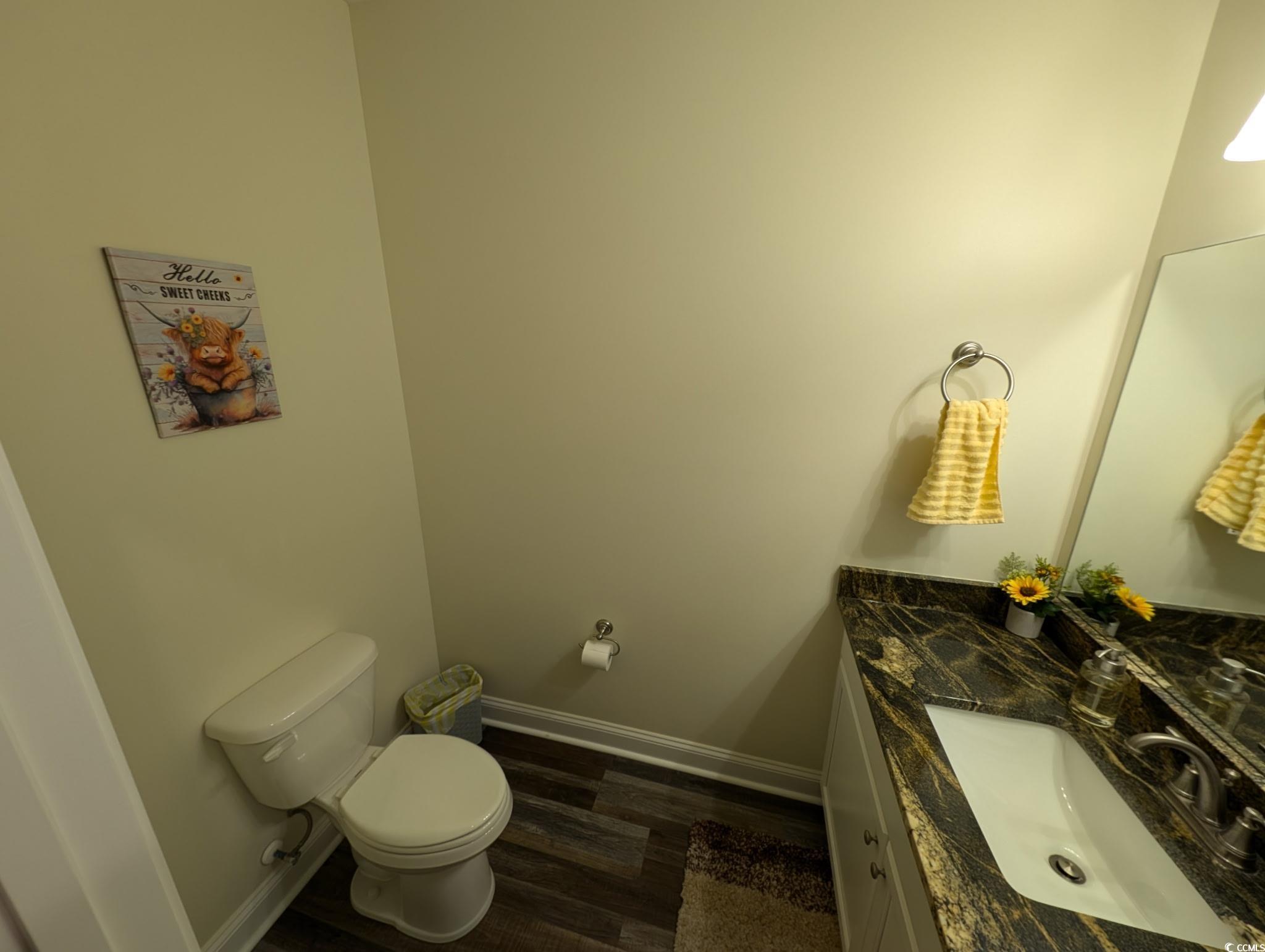 6526 Bay Gully Road Aynor, SC 29511 - Photo 30 of 40