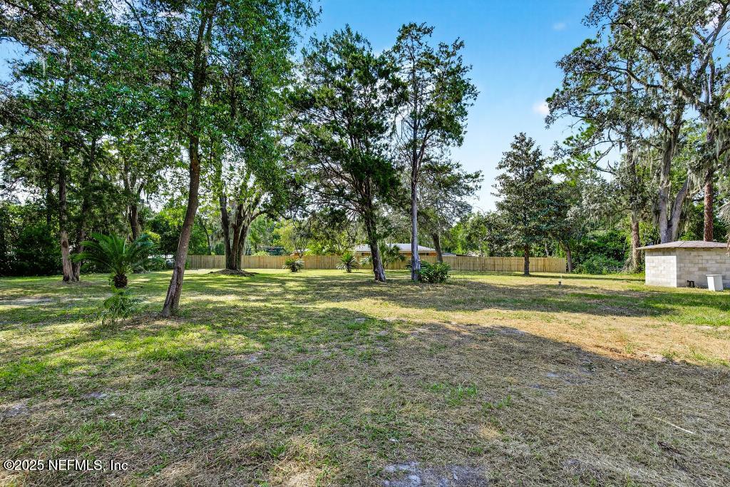 28 Neighbors Cove Road Orange Park, FL 32065 - Photo 54 of 56 a view of a tree in a yard