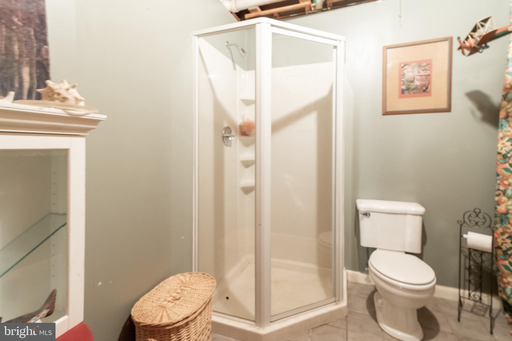 9387 Spring Water Path Jessup, MD 20794 - Photo 34 of 41 Lower Level Bathroom