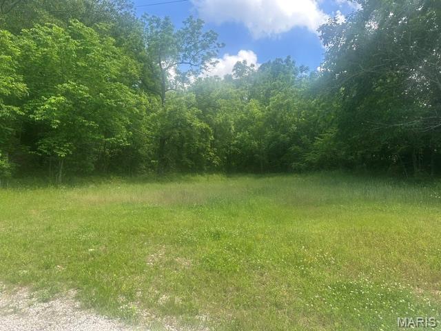 13351 State Rte H Edgar Springs, MO 65462 - Photo 7 of 33