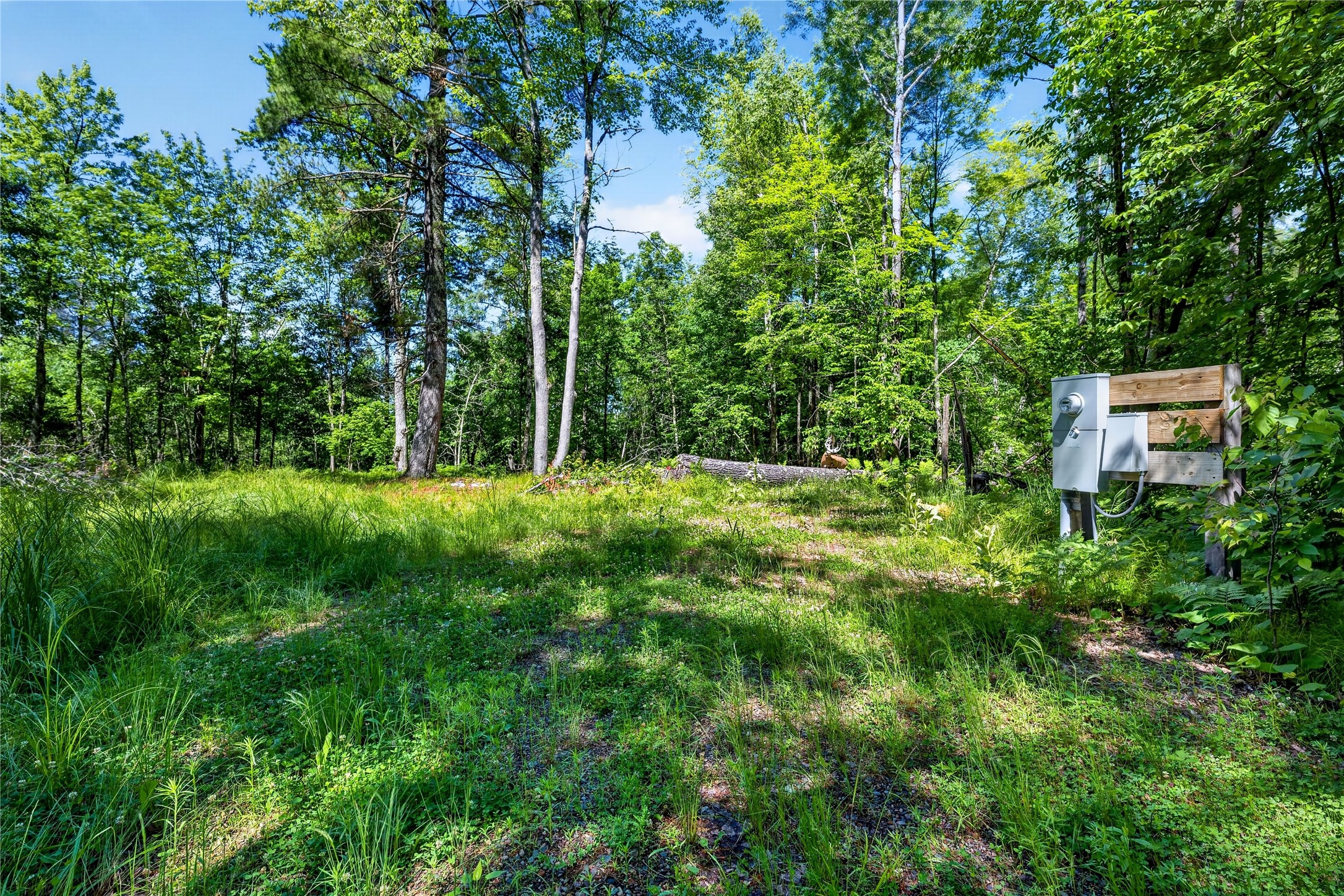 8.92-acres Little Valley Road Spooner, WI 54801 - Photo 6 of 29