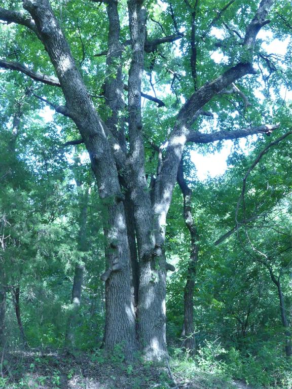1691 West Alamo Road Bowie, TX 76230 - Photo 2 of 40 Gallery Image 2