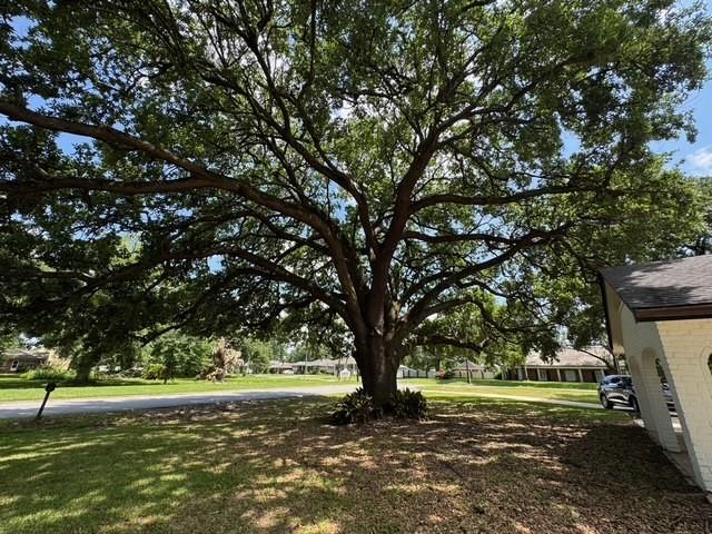 372 West 5th Street Laplace, LA 70068 - Photo 4 of 20