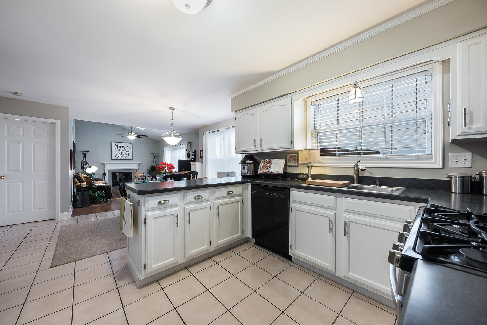 716 Pinehurst Lane Oswego, IL 60543 - Photo 8 of 25 a kitchen with a sink and cabinets