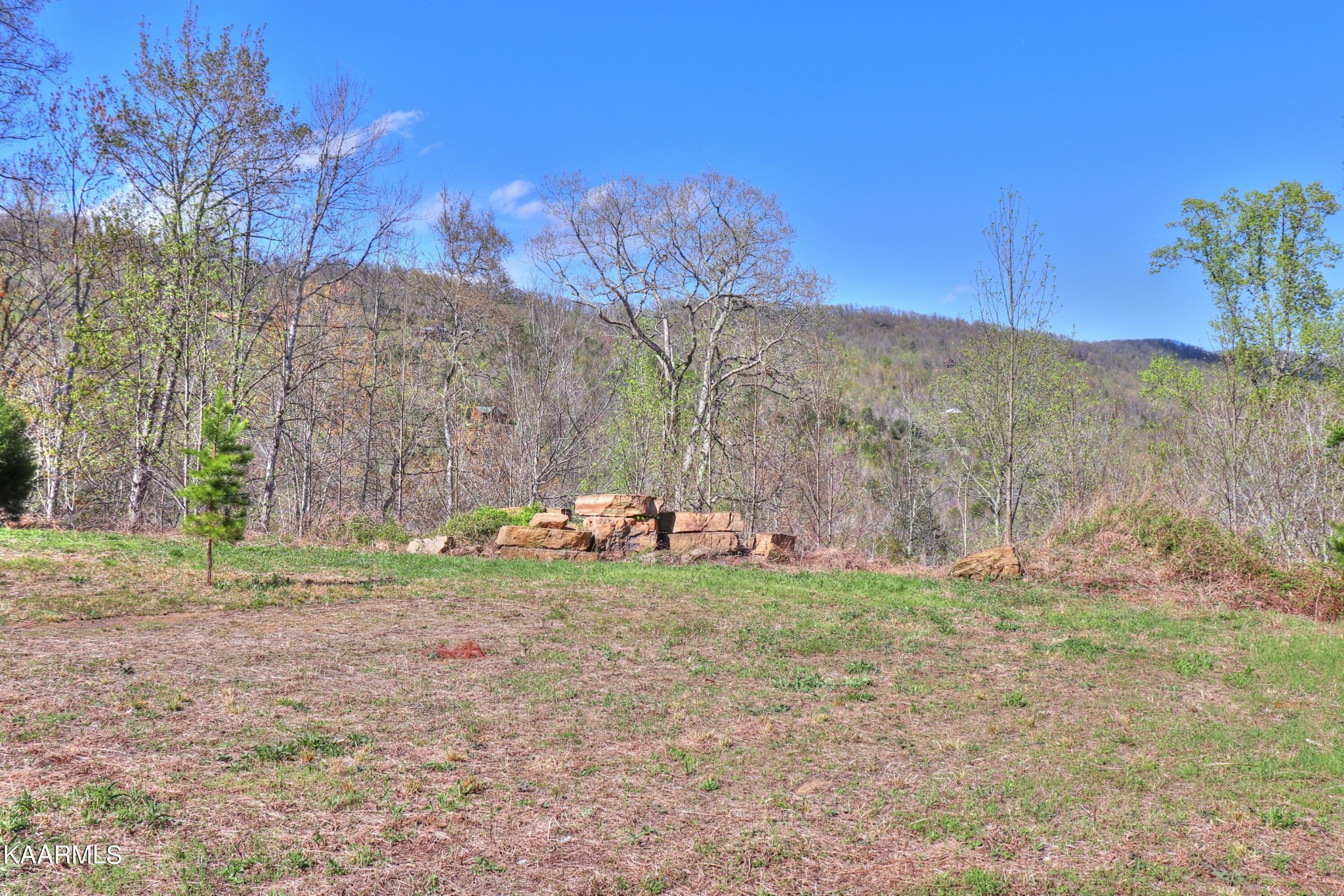 873 Clearwater Road New Tazewell, TN 37825 - Photo 24 of 38