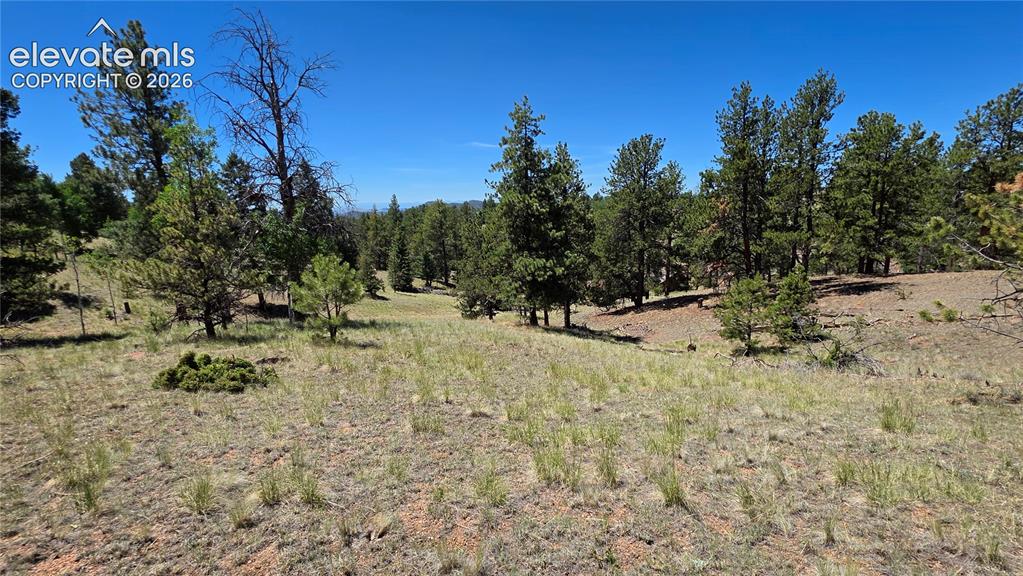 1366 North Mountain Estates Road Florissant, CO 80816 - Photo 1 of 16