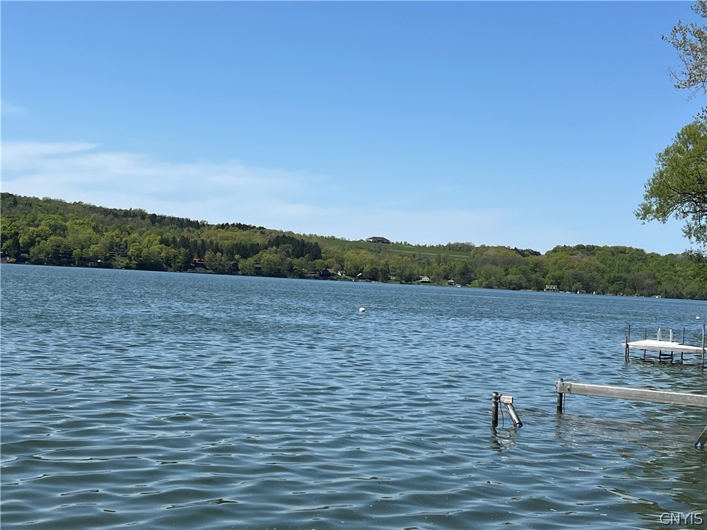 2055 Fitzgerald Point South Otisco, NY 13110 - Photo 19 of 22 wonderful view North