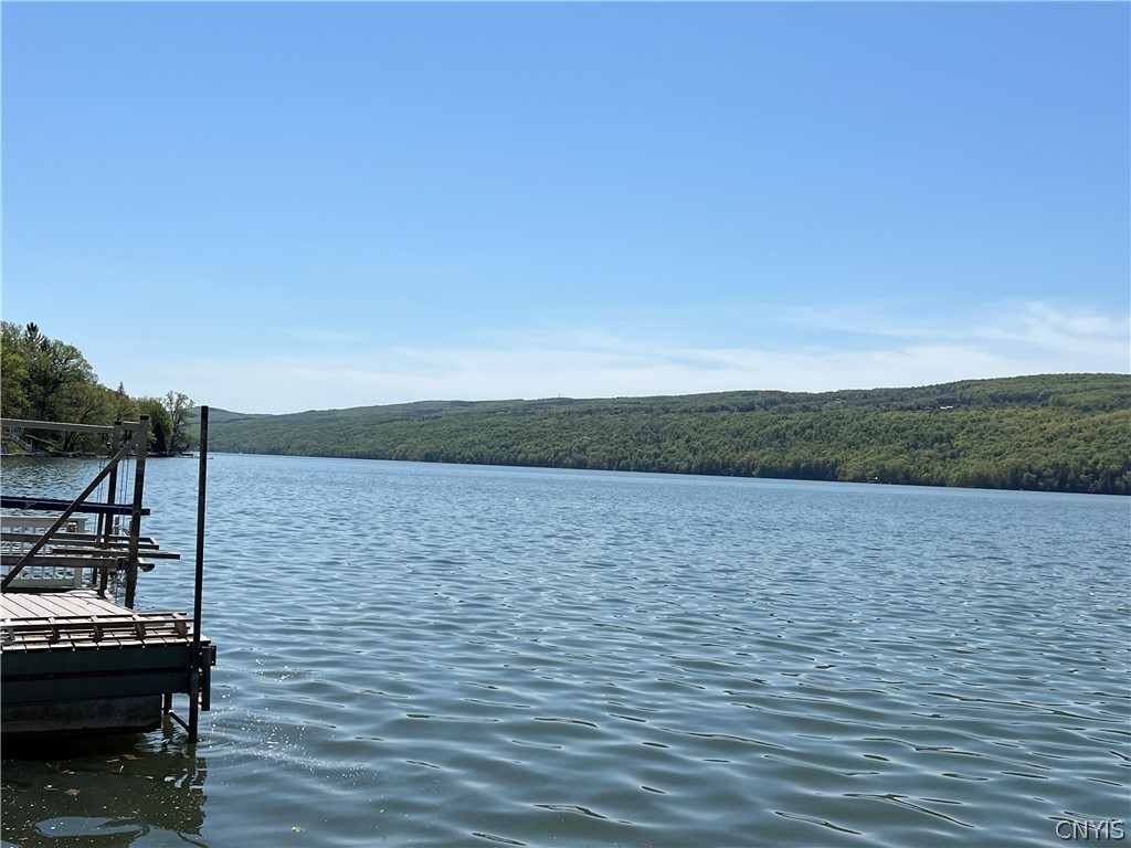 2055 Fitzgerald Point South Otisco, NY 13110 - Photo 20 of 22 view south