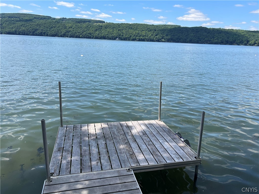 2055 Fitzgerald Point South Otisco, NY 13110 - Photo 21 of 22 owners dock at the water