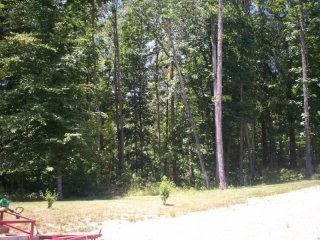 293 Mullins Hollow Road McKee, KY 40447 - Photo 29 of 37 Photo 30