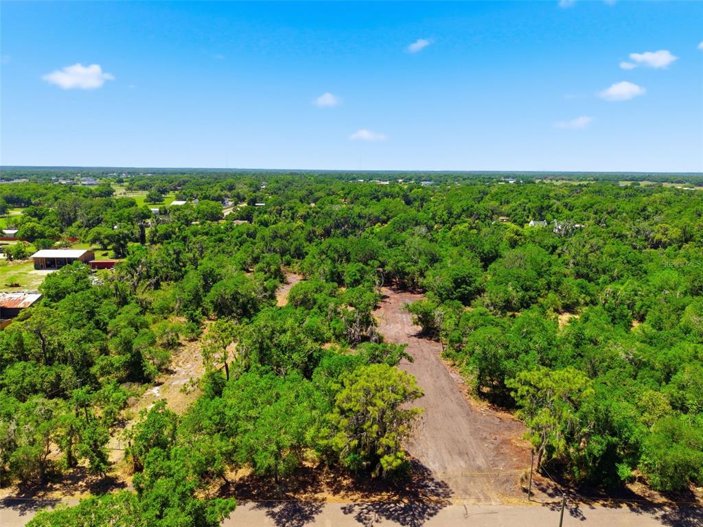 19084 Red Bird Lane, Unit LOT 1 Lithia, FL 33547 - Photo 11 of 21 a view of a big yard with lots of green space