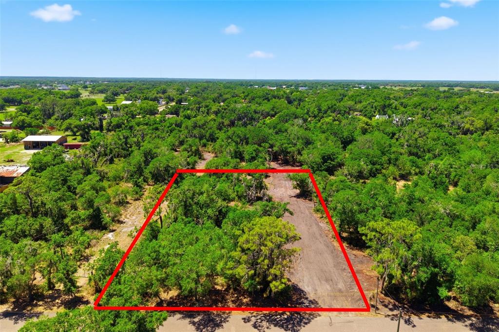 19084 Red Bird Lane, Unit LOT 1 Lithia, FL 33547 - Photo 3 of 21 a view of a bunch of flowers