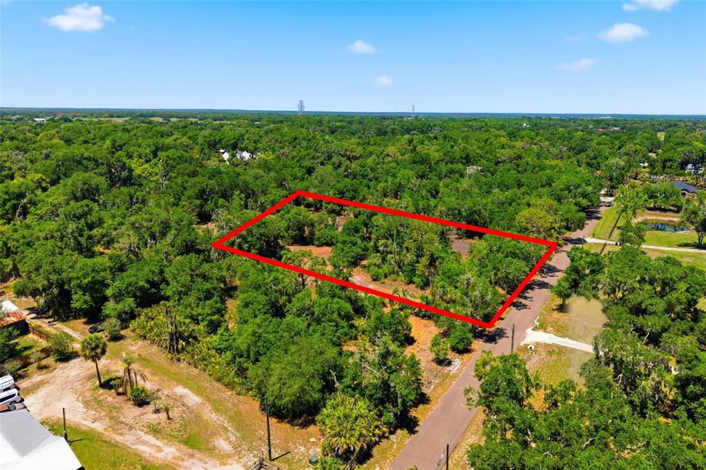 19084 Red Bird Lane, Unit LOT 1 Lithia, FL 33547 - Photo 4 of 21 a view of a garden