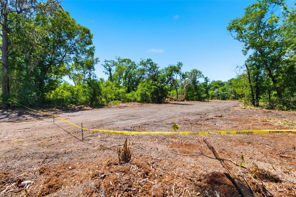 19084 Red Bird Lane, Unit LOT 1 Lithia, FL 33547 - Photo 7 of 21 a view of a yard with a tree