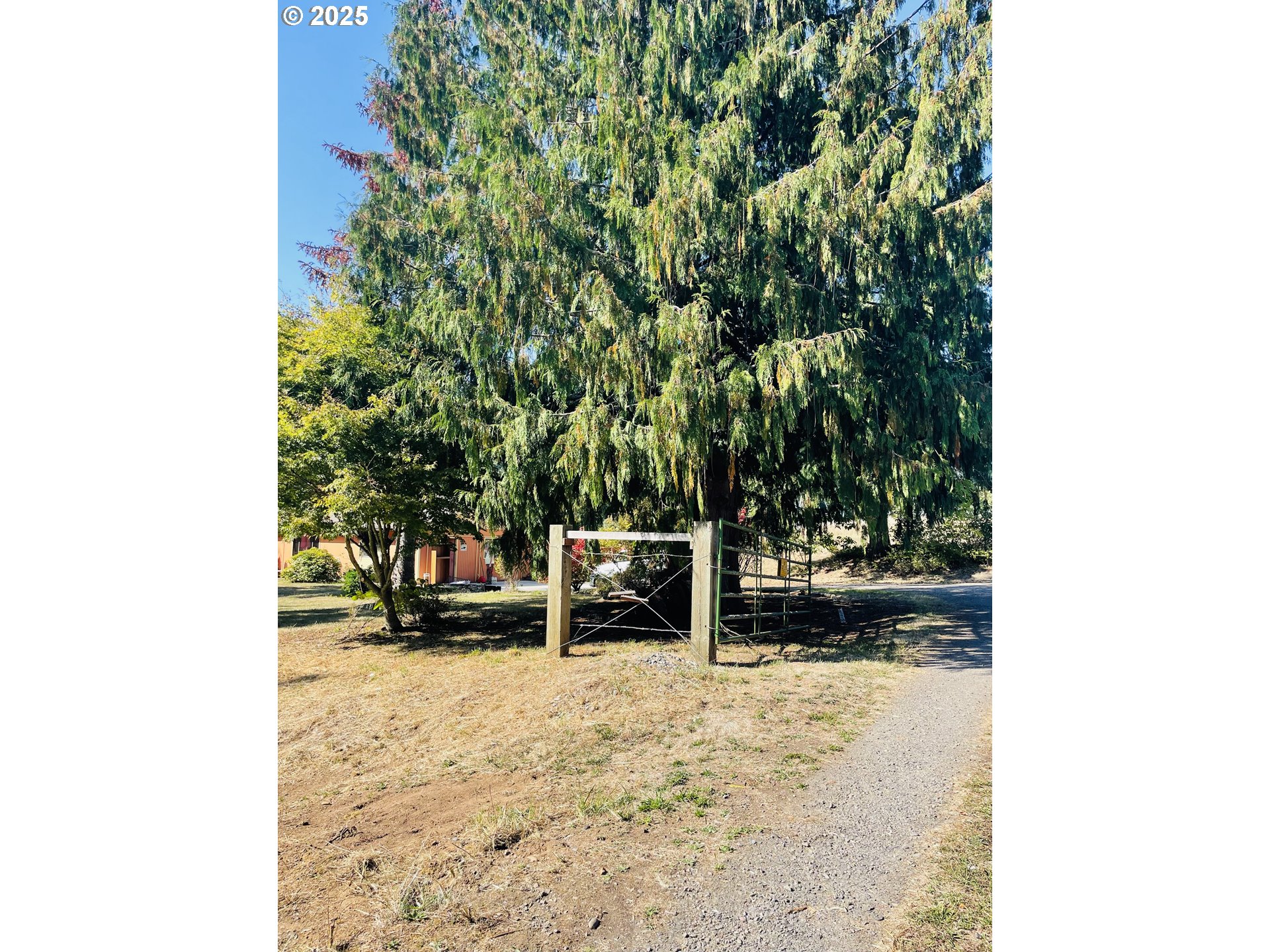 22714 Northeast 16th Street Camas, WA 98607 - Photo 6 of 14