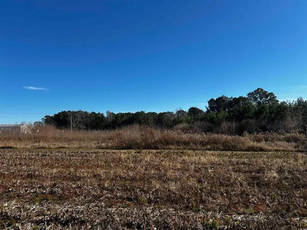 $45,000 | 1.70-acres-tbd West 1.70-acres-tbd W Dogwood Road, Loris, SC 29569