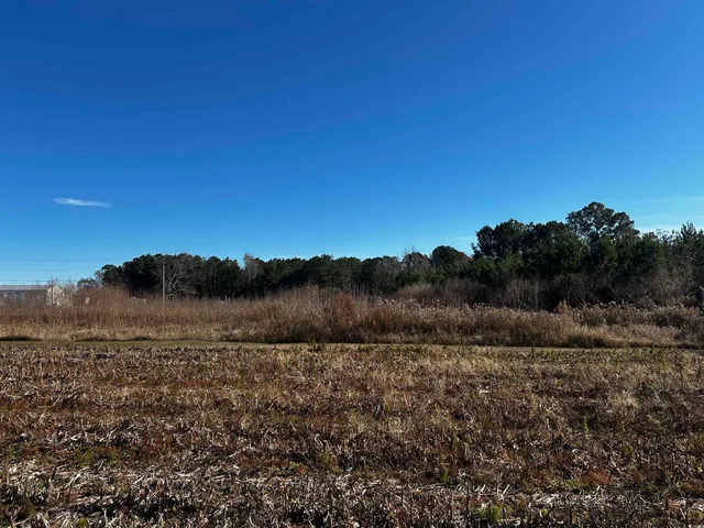 $69,000 | 1.70-acres-tbd West 1.70-acres-tbd W Dogwood Road, Loris, SC 29569
