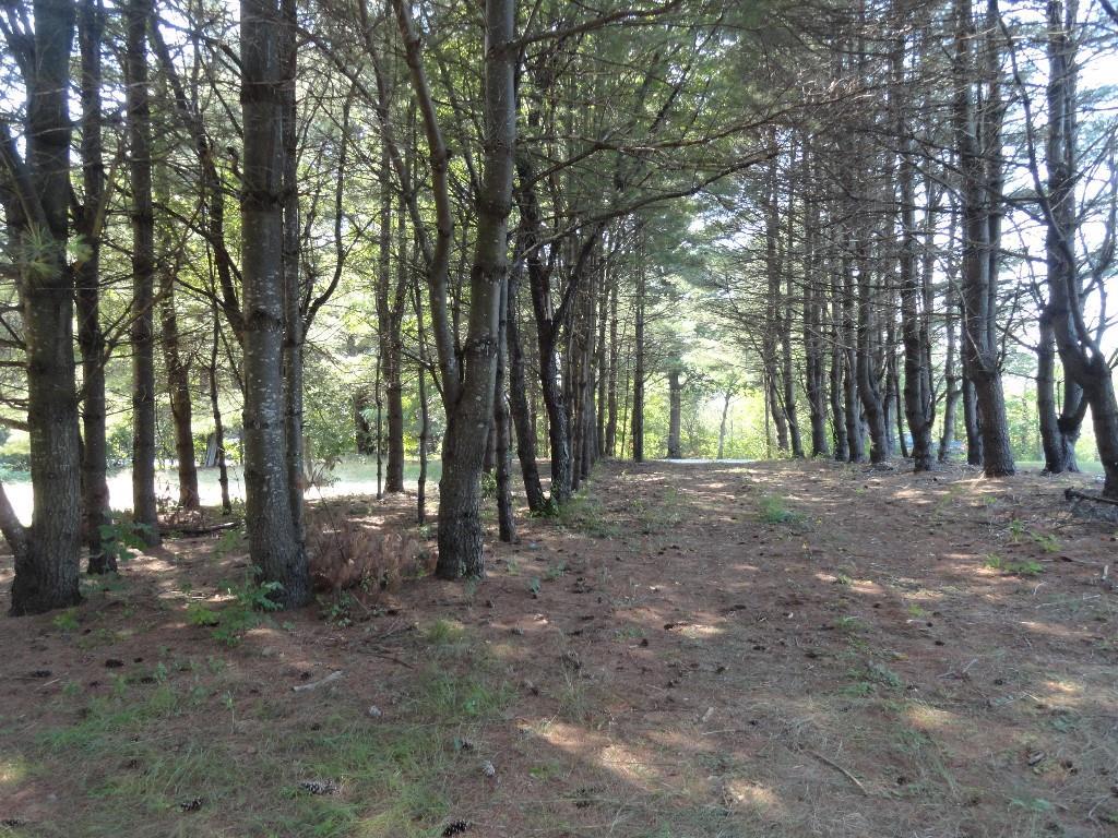 342 New Portland Road Gorham, ME 04038 - Photo 9 of 9 Photo