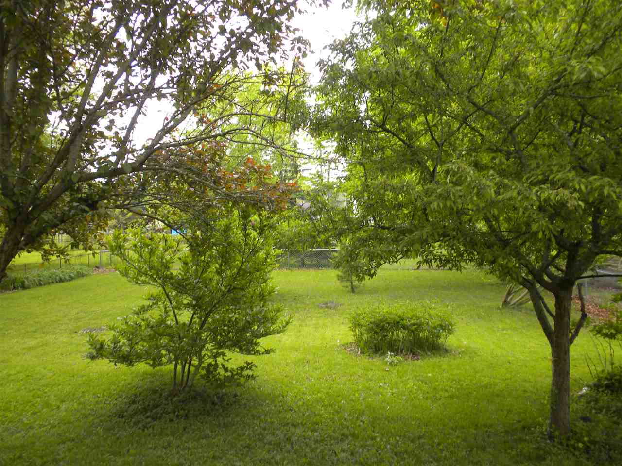 4312 East Paulding Road Fort Wayne, IN 46816 - Photo 4 of 16