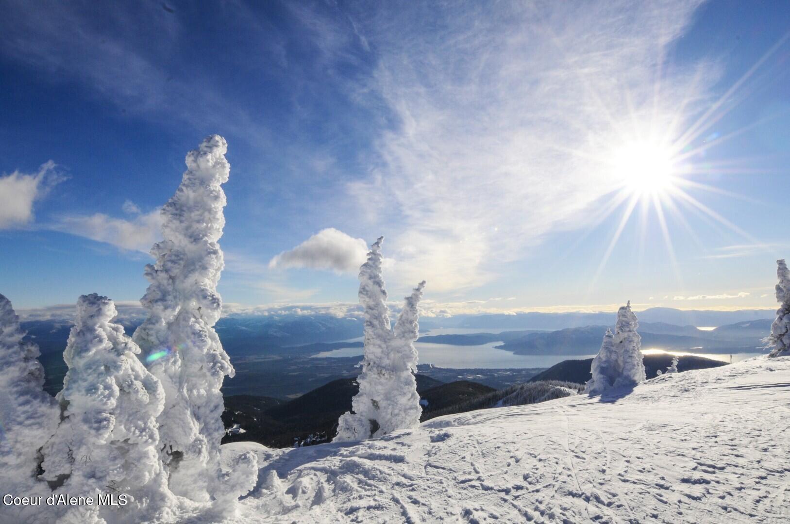 11 Alpenrose Lane Sandpoint, ID 83864 - Photo 8 of 53 Schweizter Mountain Resort