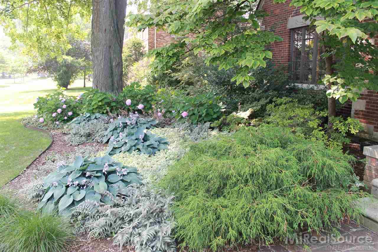 729 Pemberton Road Grosse Pointe Park, MI 48230 - Photo 7 of 46