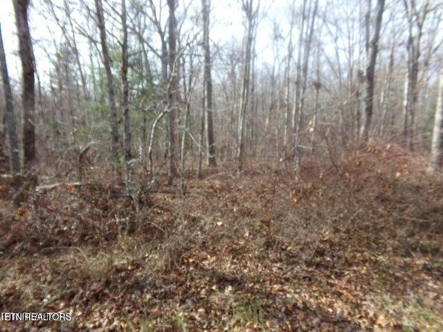 2142 Ona Road Crossville, TN 38572 - Photo 2 of 2 Level Lot