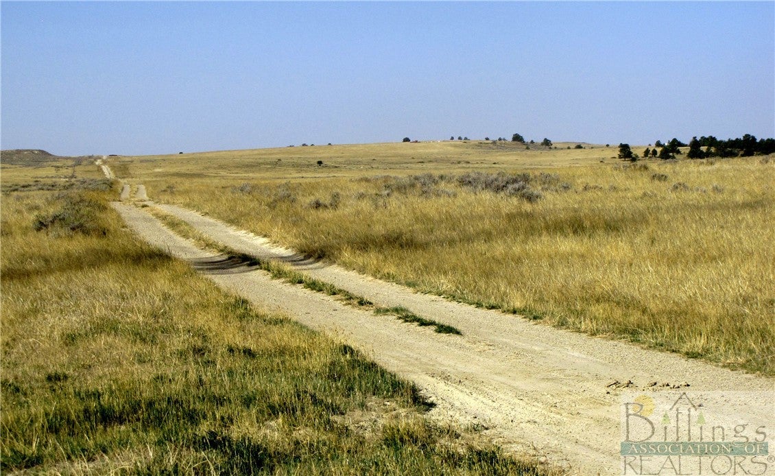 Nhn Lindstrom Road Shepherd, MT 59079 - Photo 19 of 36 Gallery Image 19