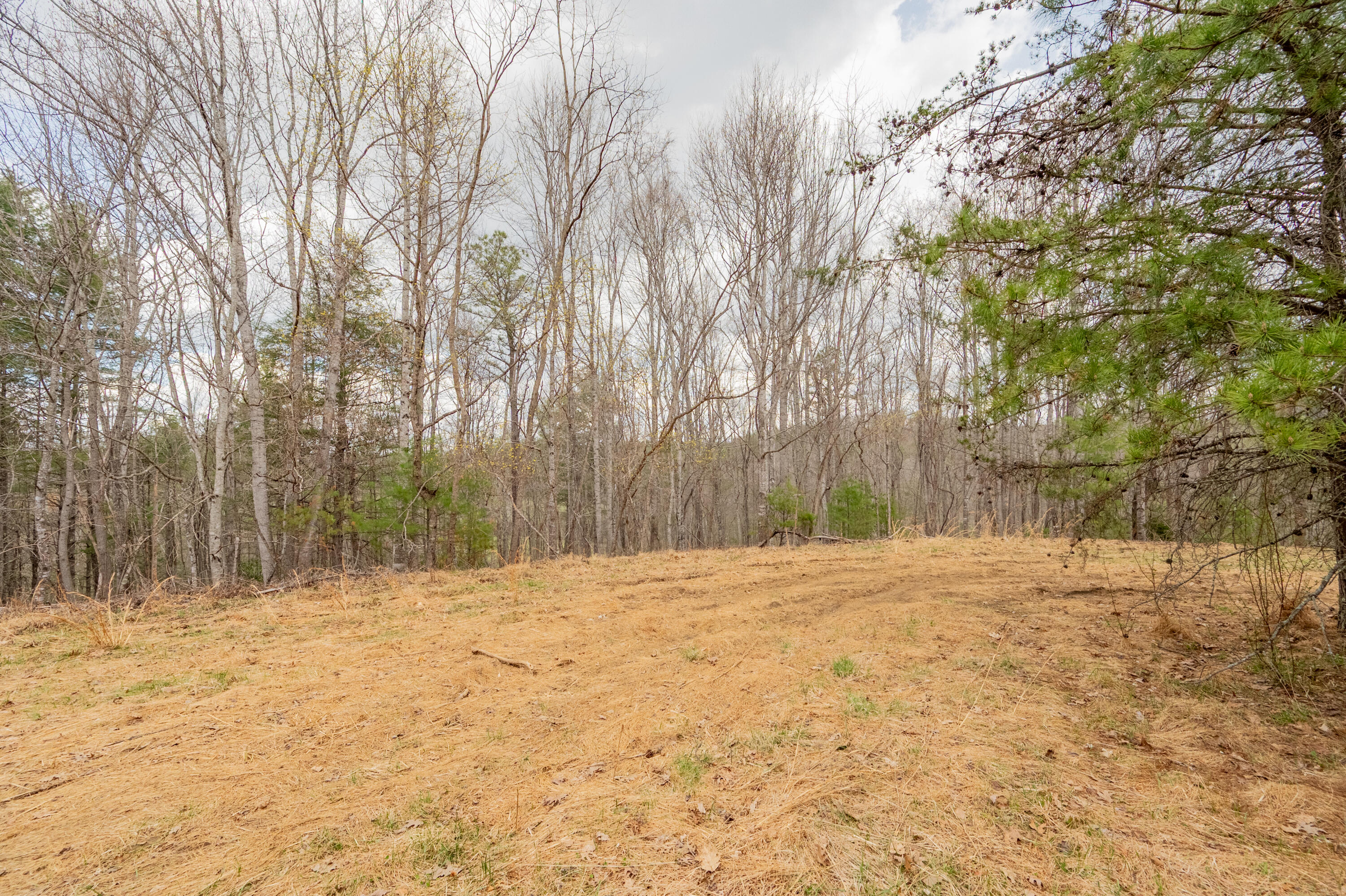 183 Pine Mountain Road Northeast Floyd, VA 24091 - Photo 54 of 54 a view of a yard with large trees