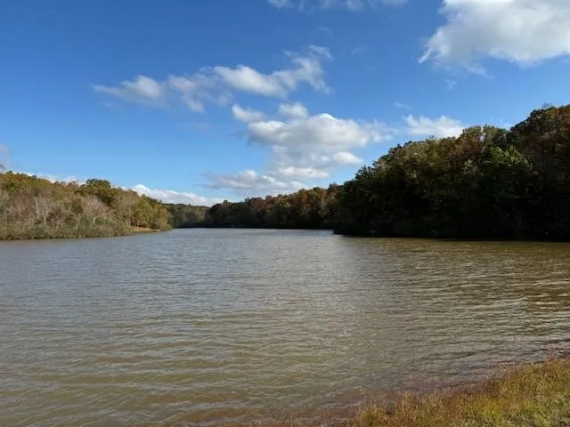 $15,000 | Gum Cove, Saulsbury, TN 38067