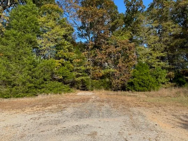 $15,000 | Gum Cove, Saulsbury, TN 38067