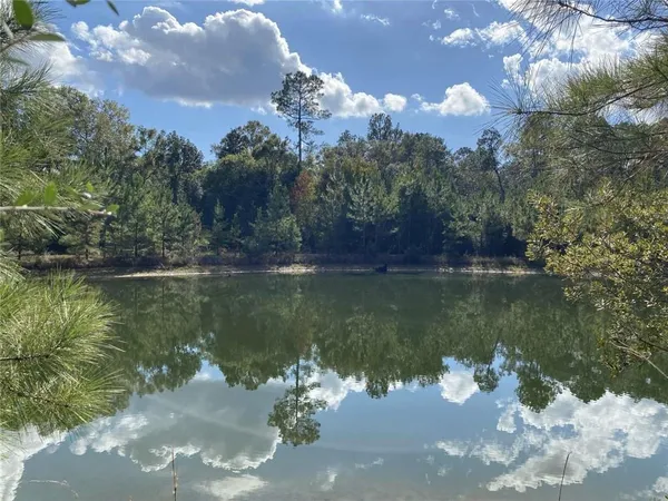 $350,000 | 74231 Jack Loyd Road, Abita Springs, LA 70420