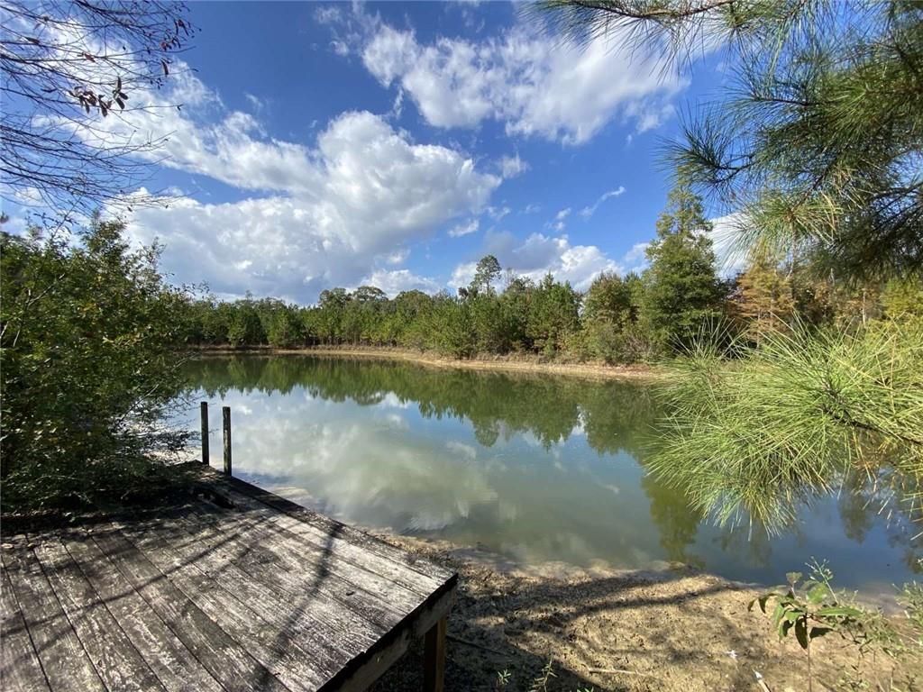 74231 Jack Loyd Road Abita Springs, LA 70420 - Photo 11 of 23