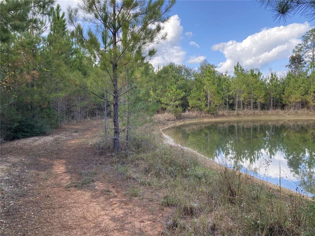 74231 Jack Loyd Road Abita Springs, LA 70420 - Photo 12 of 23