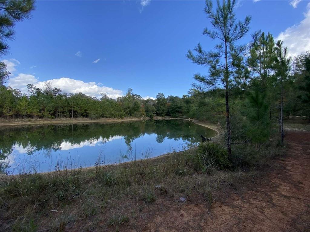 74231 Jack Loyd Road Abita Springs, LA 70420 - Photo 13 of 23