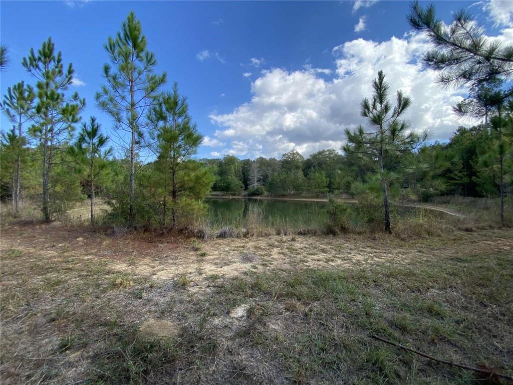 74231 Jack Loyd Road Abita Springs, LA 70420 - Photo 14 of 23