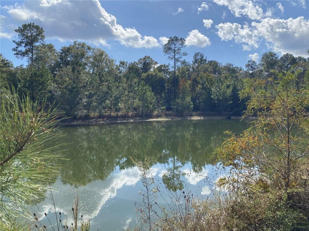 74231 Jack Loyd Road Abita Springs, LA 70420 - Photo 17 of 23