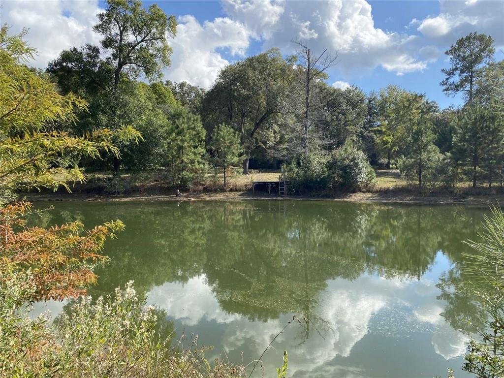 74231 Jack Loyd Road Abita Springs, LA 70420 - Photo 18 of 23