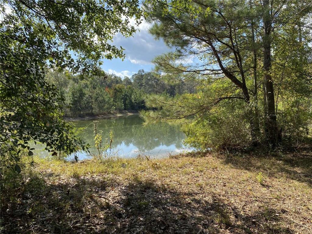 74231 Jack Loyd Road Abita Springs, LA 70420 - Photo 20 of 23