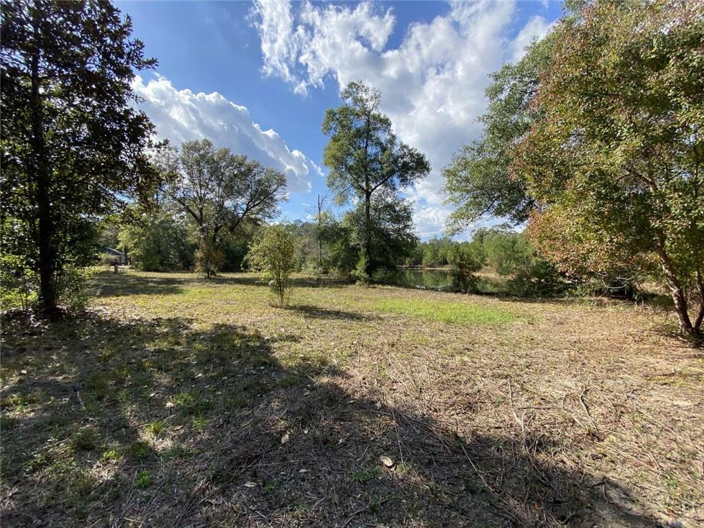 74231 Jack Loyd Road Abita Springs, LA 70420 - Photo 22 of 23