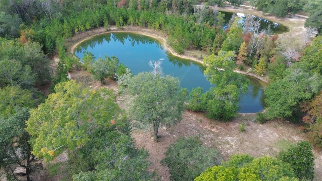 74231 Jack Loyd Road Abita Springs, LA 70420 - Photo 5 of 23