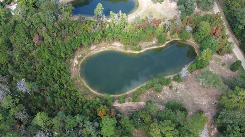 74231 Jack Loyd Road Abita Springs, LA 70420 - Photo 6 of 23