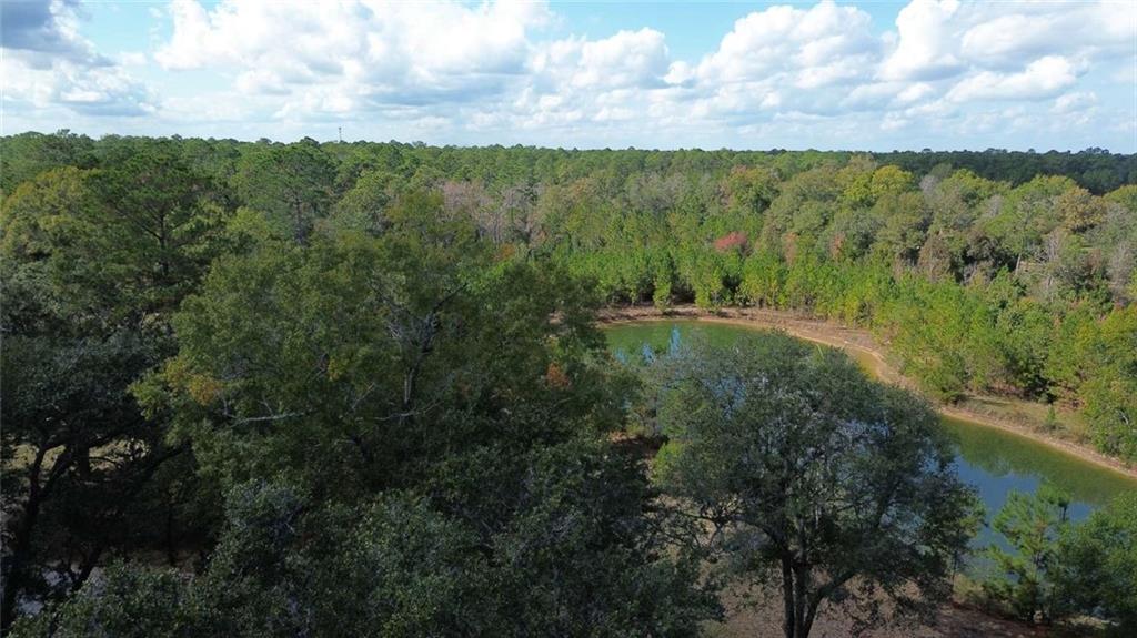 74231 Jack Loyd Road Abita Springs, LA 70420 - Photo 7 of 23