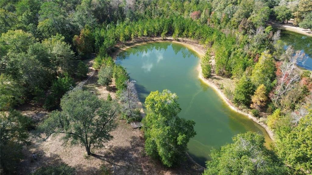 74231 Jack Loyd Road Abita Springs, LA 70420 - Photo 8 of 23