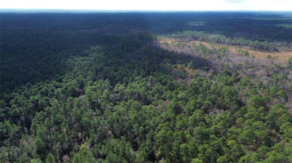 74231 Jack Loyd Road Abita Springs, LA 70420 - Photo 9 of 23