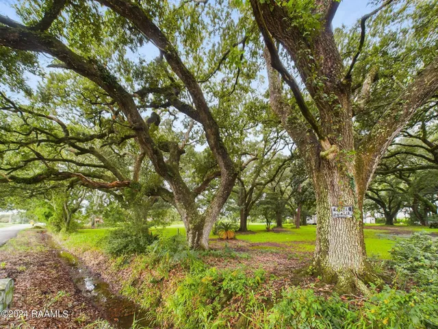 $208,000 | 10826 Sidney Gautreaux Road, Abbeville, LA 70510