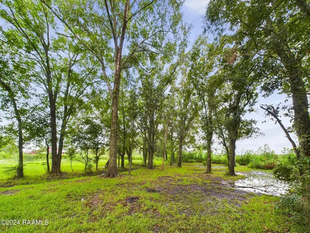 $208,000 | 10826 Sidney Gautreaux Road, Abbeville, LA 70510